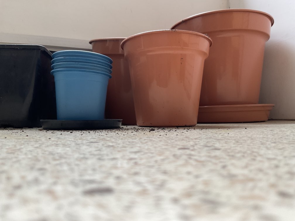 Selection of plant pots.