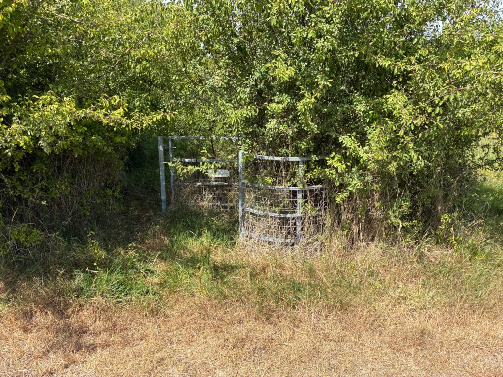 Abandoned gate overgrown 